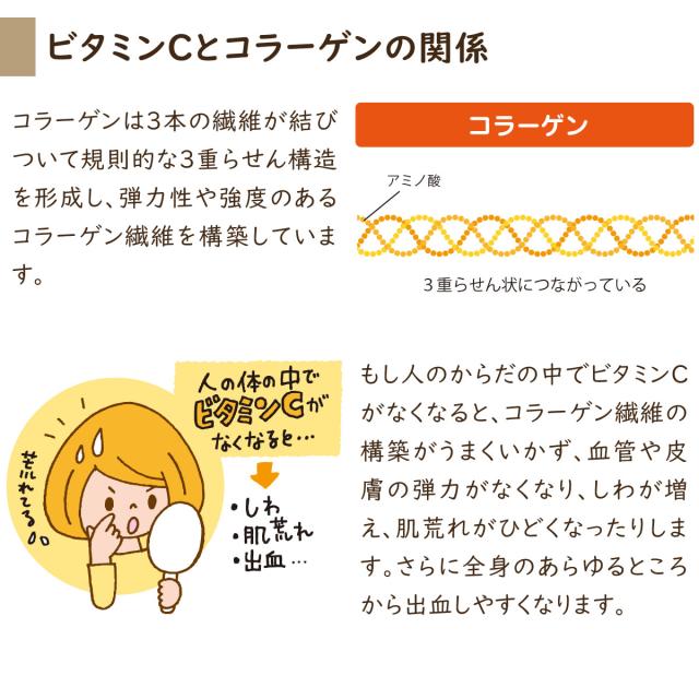 夢見るコラーゲン