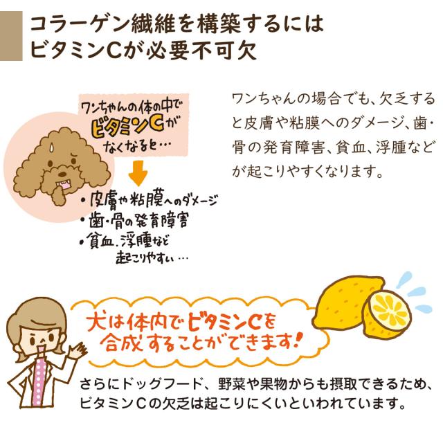 夢見るコラーゲン