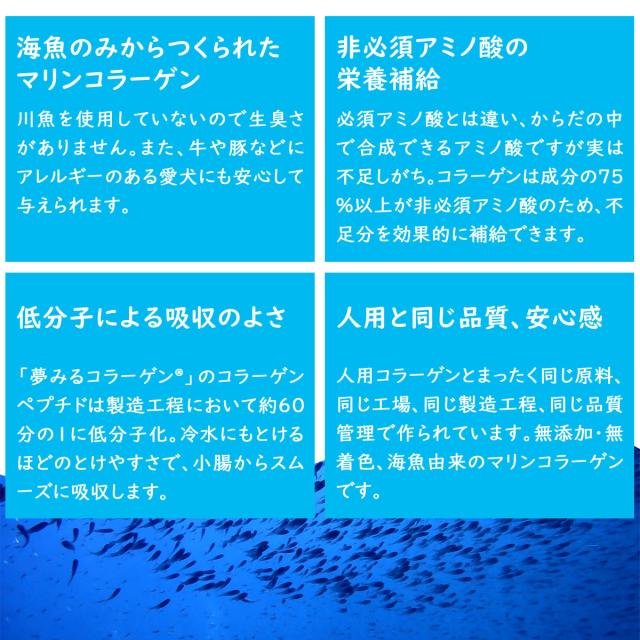 夢見るコラーゲン