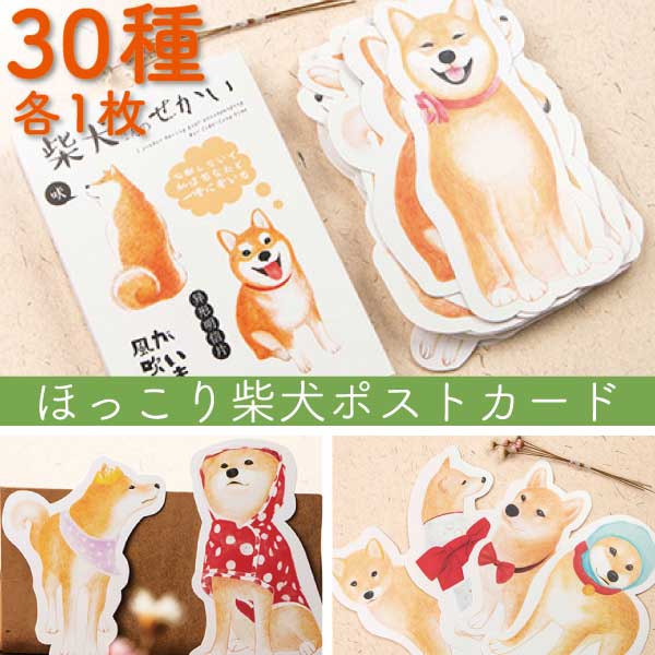 柴犬　ダイカットポストカード