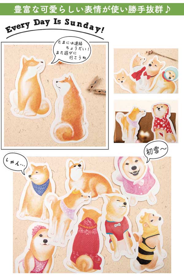 柴犬　ダイカットポストカード