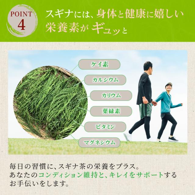 スギナ茶