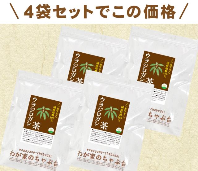 ウラジロガシ4袋