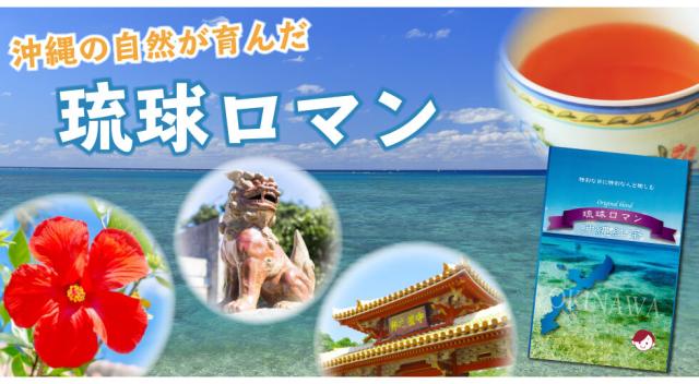 琉球ロマン5
