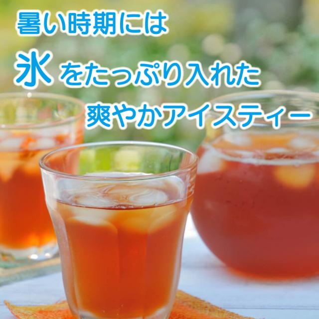 国産紅茶 100p