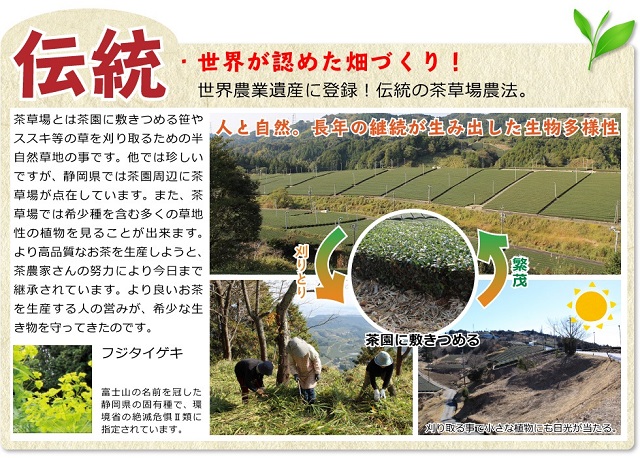 極みブレンド緑茶