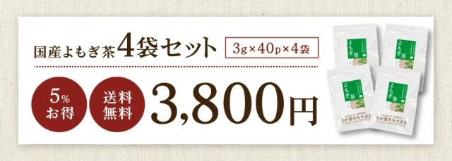 よもぎTB