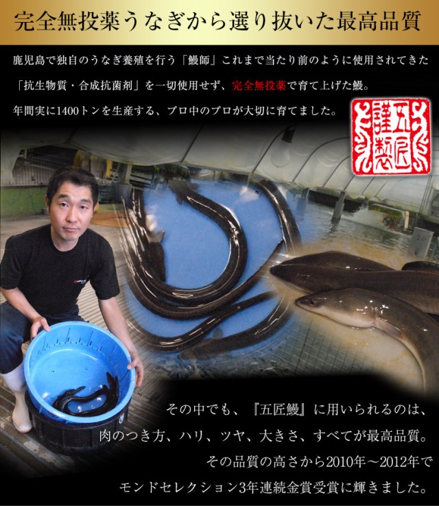 特別送料無料 うなぎ 蒲焼き 五匠鰻 鹿児島県 山田水産 100g 1g 10尾 冷凍 送料無料 ウナギ 鰻 父の日 丑の日 ギフト 贈答 新版 Theblindtigerslidell Com 特別送料無料 うなぎ 蒲焼き 五匠鰻 鹿児島県 山田水産 100g 1g 10尾 冷凍 送料無料 ウナギ 鰻 父の日 丑の日 ギフト 贈答 新版 Theblindtigerslidell Com