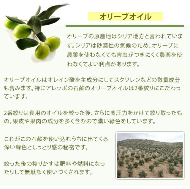 アレッポノーマル