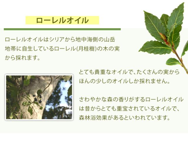 アレッポノーマル