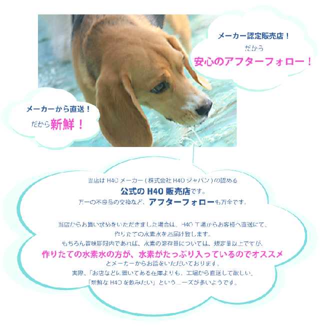 最高の 送料無料で新鮮な高濃度水素水をメーカー直送 H4o ペット サイエンスウォーター 100ml 60本セット 輝く高品質な Carlavista Com