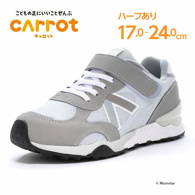 ></a></td>        </tr></table></center><br><br><h2 style=