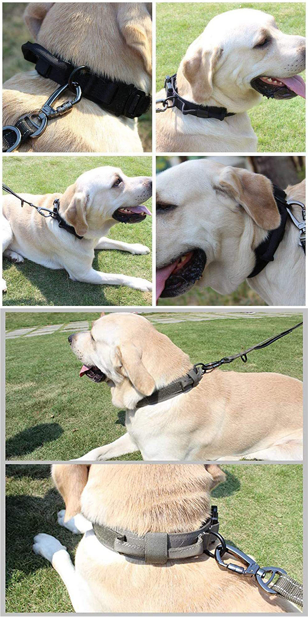 ミリタリー首輪2 