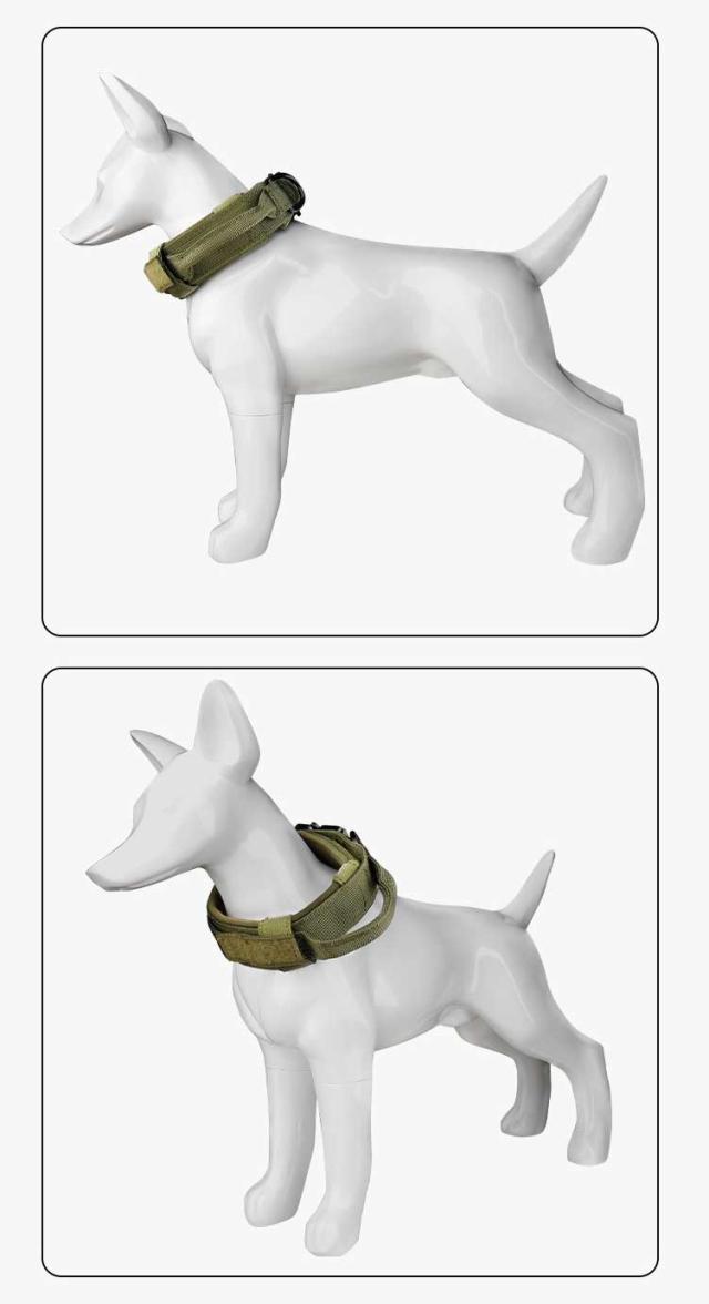 ミリタリー首輪8 