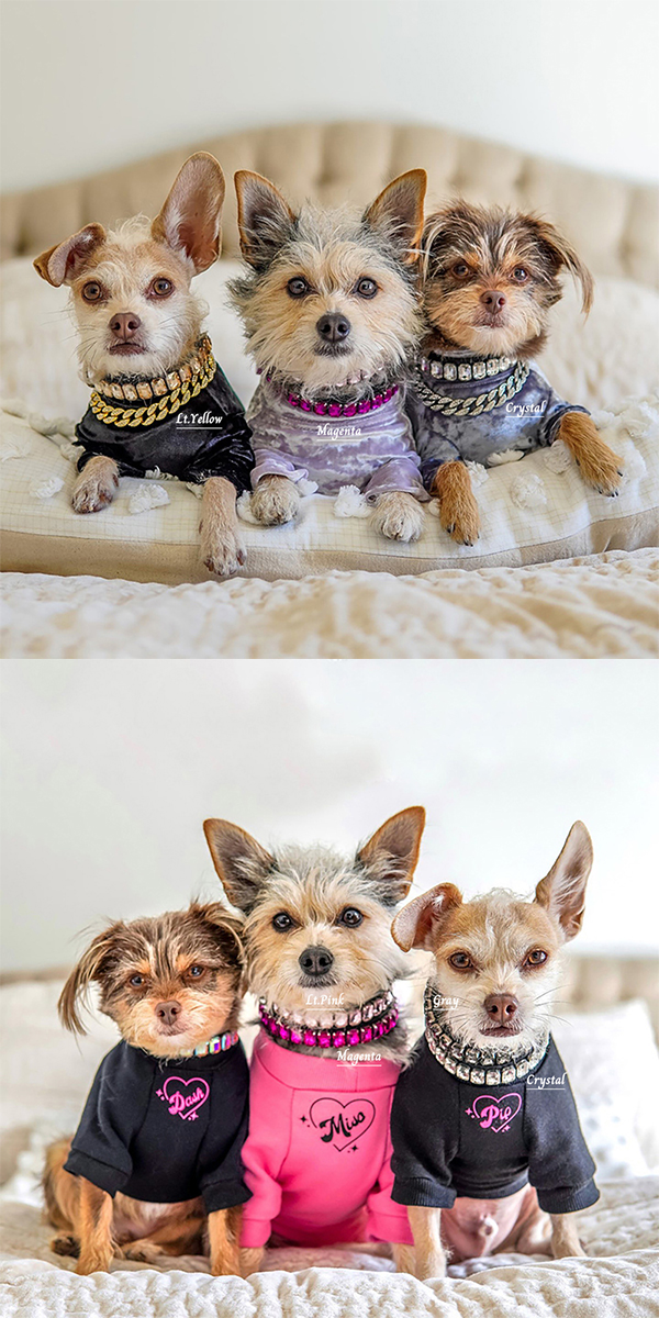 ラインストーン首輪2 