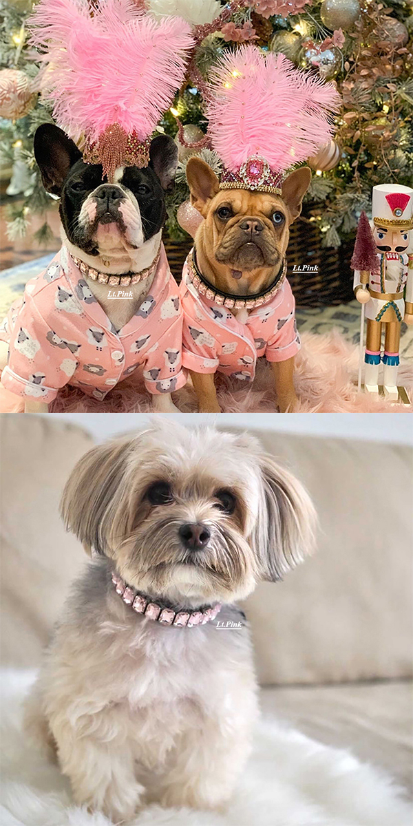 ラインストーン首輪5 