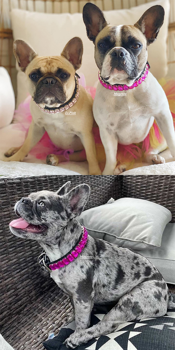 ラインストーン首輪8 