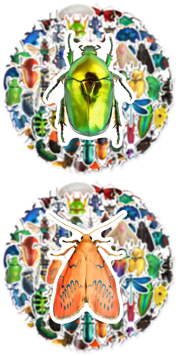  昆虫 ステッカー3