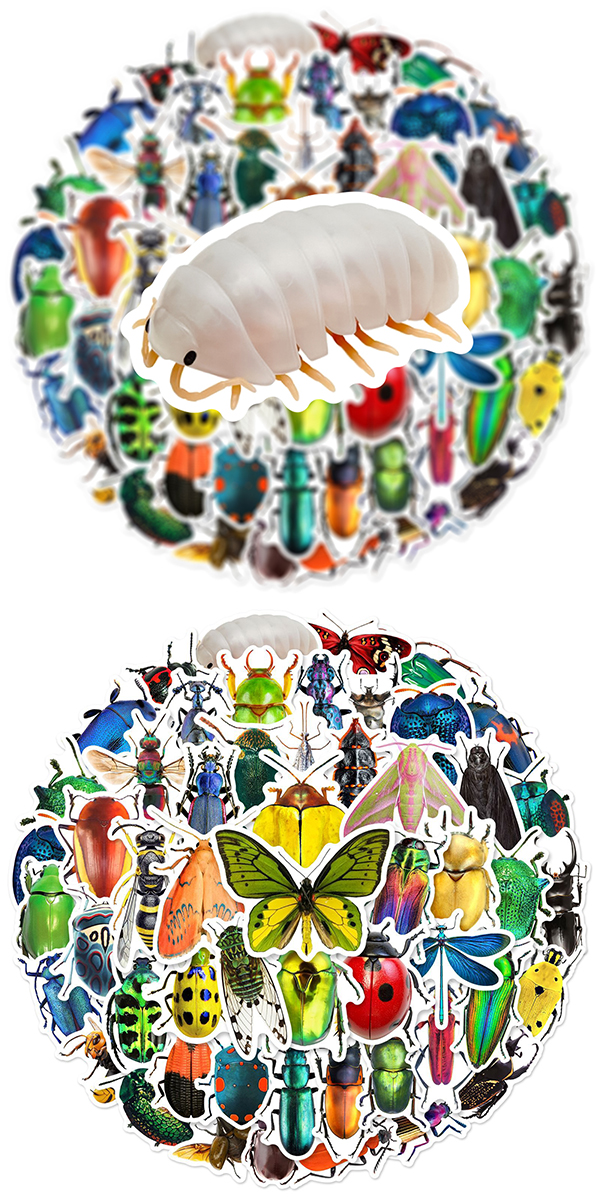  昆虫 ステッカー5
