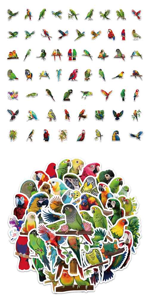 インコ ステッカー 2