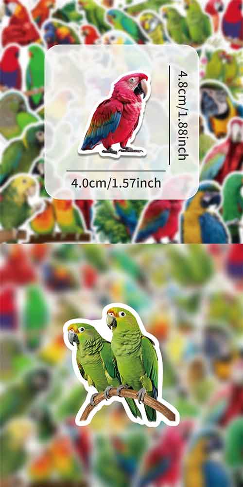 インコ ステッカー 3