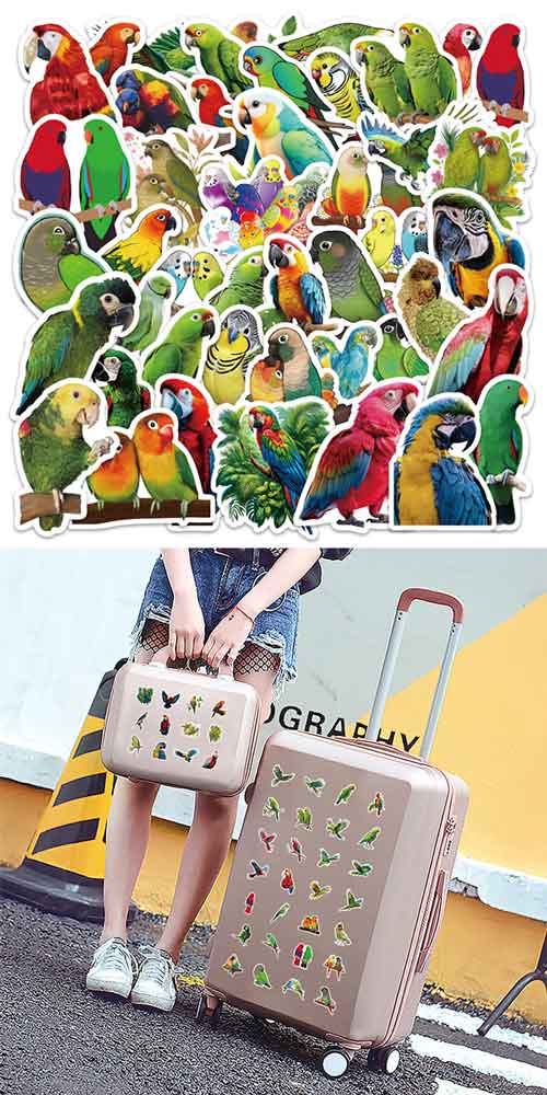 インコ ステッカー 4