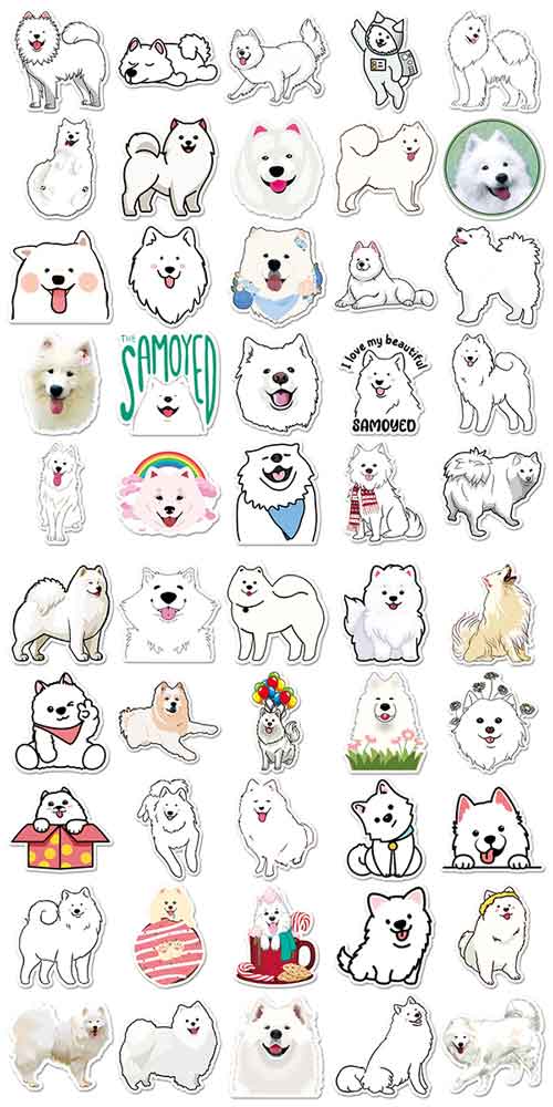 サモエド ステッカー 2