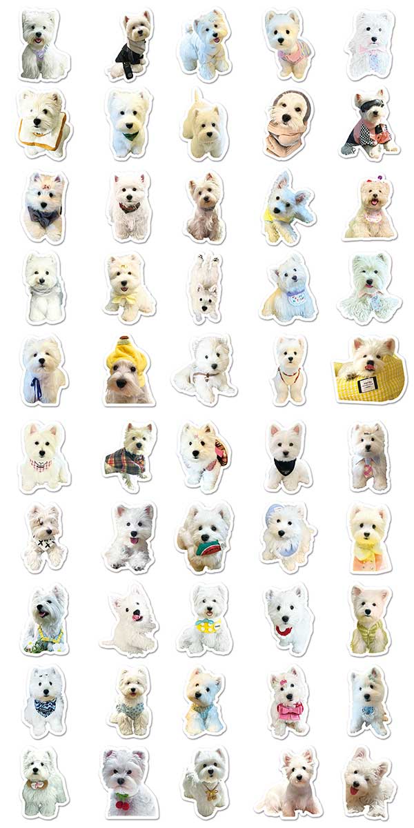 ウエストハイランドホワイトテリア ステッカー2