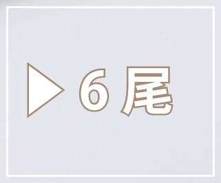 長焼き6尾