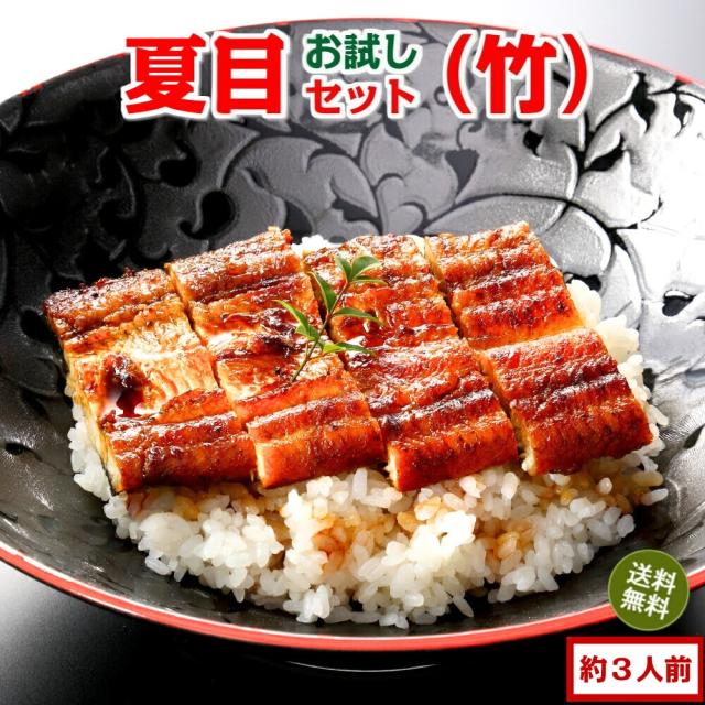 豊橋うなぎセット 竹