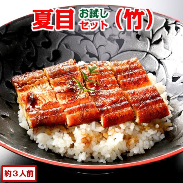 豊橋うなぎセット 竹