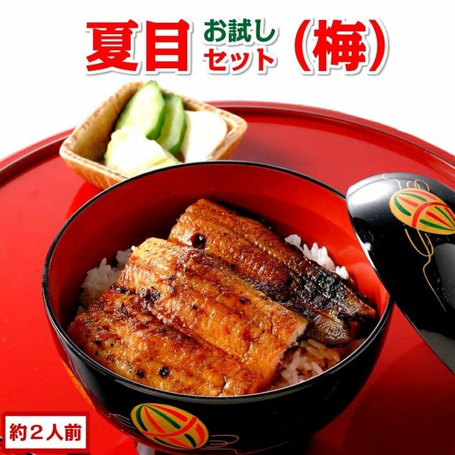 豊橋うなぎセット 梅