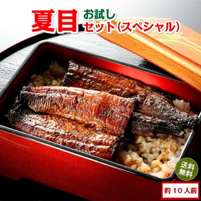 豊橋うなぎセット スペシャル