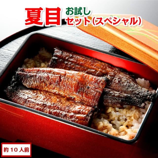 豊橋うなぎセット スペシャル