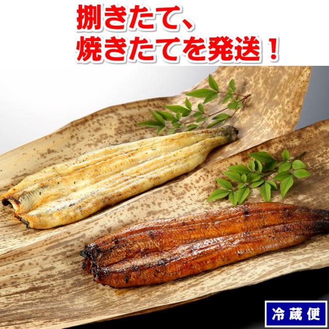 うなぎ 蒲焼or白焼×2尾
