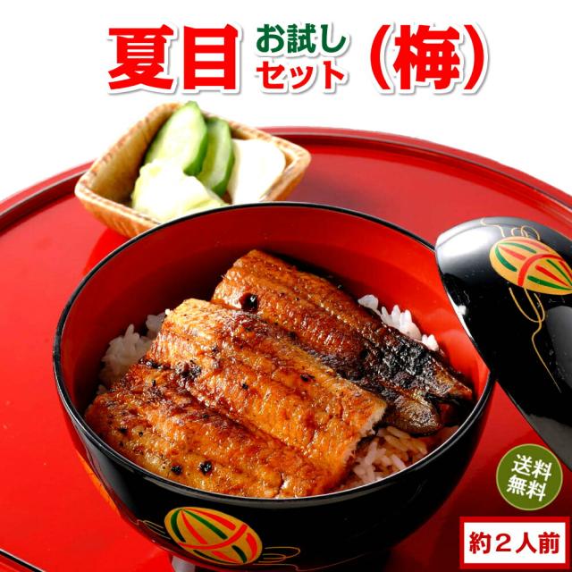 豊橋うなぎセット 梅