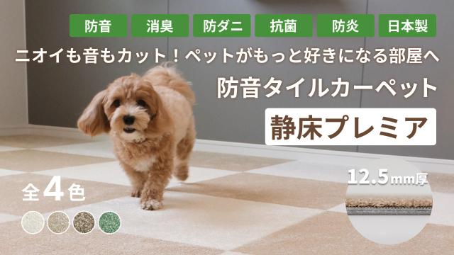 サムネ画像