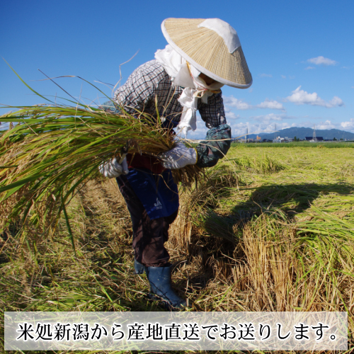 母の日