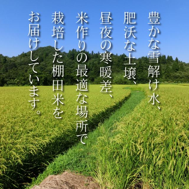 母の日