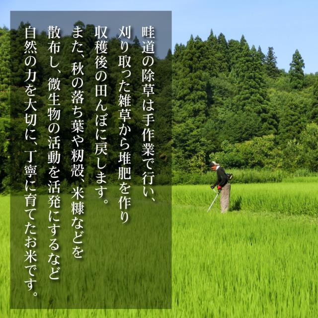 母の日