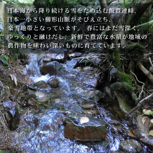 母の日