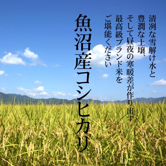 母の日