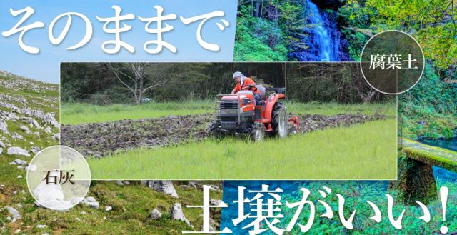 「自然のまんま」で作物を育てるために適した土壌