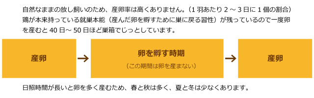 土佐ジロー肉熟成ウインナー 4本入り 土佐鴨 土佐ジロー飼育研究会の通販はau Pay マーケット 森徳蔵商店 商品ロットナンバー 土佐ジロー肉熟成ウインナー 4本入り 土佐鴨 土佐ジロー飼育研究会の通販はau Pay マーケット 森徳蔵商店 商品ロットナンバー