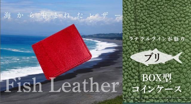 BOXコインケース【フィッシュレザー/ブリ】