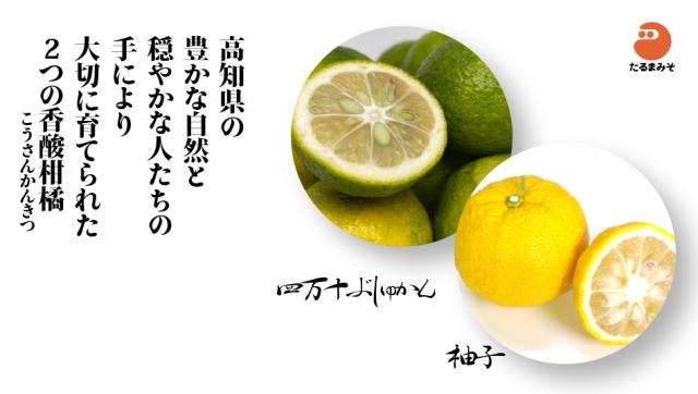 柚子と四万十ぶしゅかん、それぞれの個性