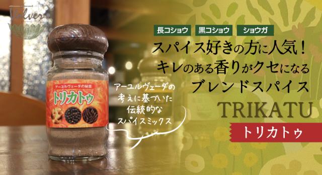 イタリアンレストランボルベール「トリカトゥ」