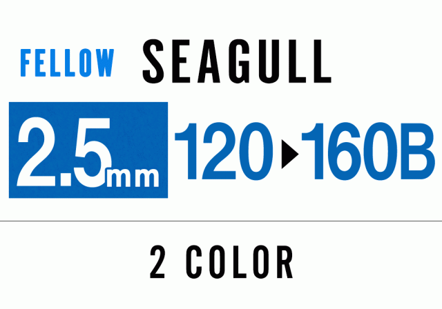 FELLOW ウェットスーツ シーガル 2.5mm キッズ バックジップ 半袖 サーフィン JPSA 日本規格 ジャージタイプ SUP