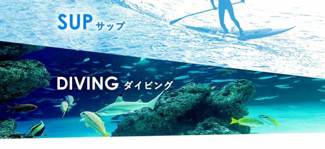 RSS SURF ウェットスーツ シーガル 2.5mm レディース ジャージ スキン 初心者・予備用に SUP サーフィン 日本規格