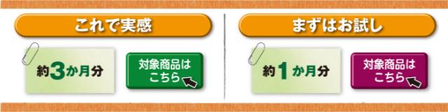 他のサイズはコチラ